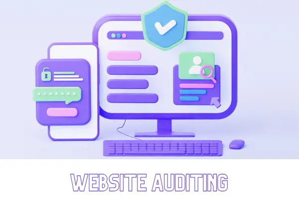 Website Auditing 