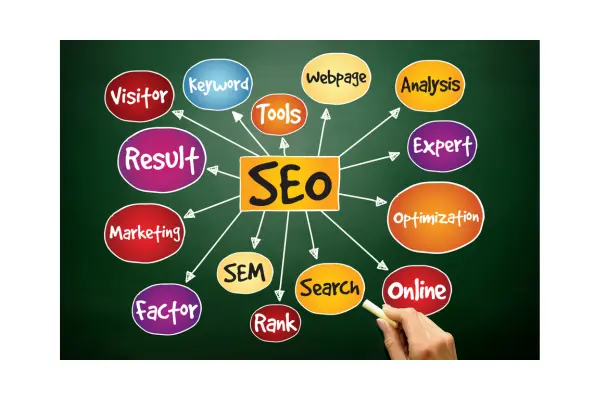 why SEO is important?