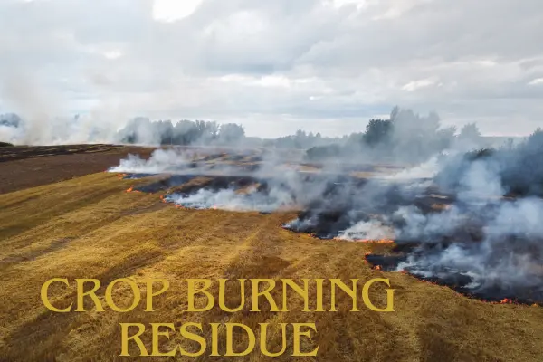 crop burning residue